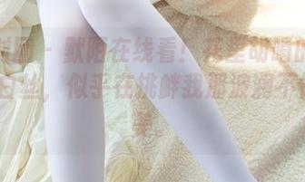 森萝财团 – 默陌在线看！花里胡哨的民宿与5D白丝，似乎在挑衅我那波澜不惊的审美。